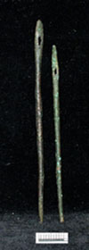 Needles, Eylenja-Leondari Vouno (AN1888.1320 & AN1888.1321)