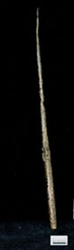 Pin, Eyelet, Larnaka (AN1953.1303)